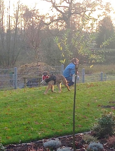 "Das ist MEINS Herrchen!"